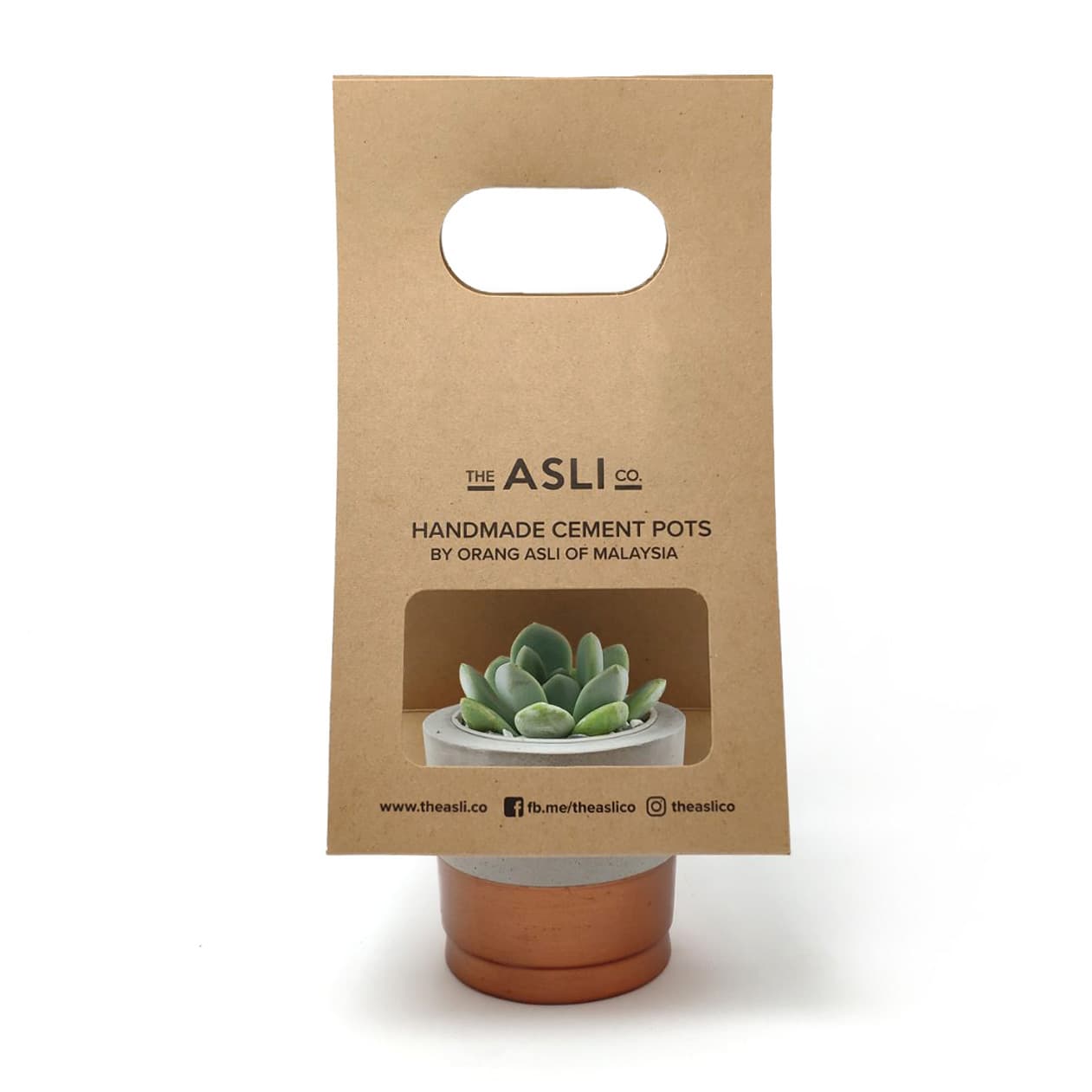 The Asli Co Cement Pots in kraft card packaging