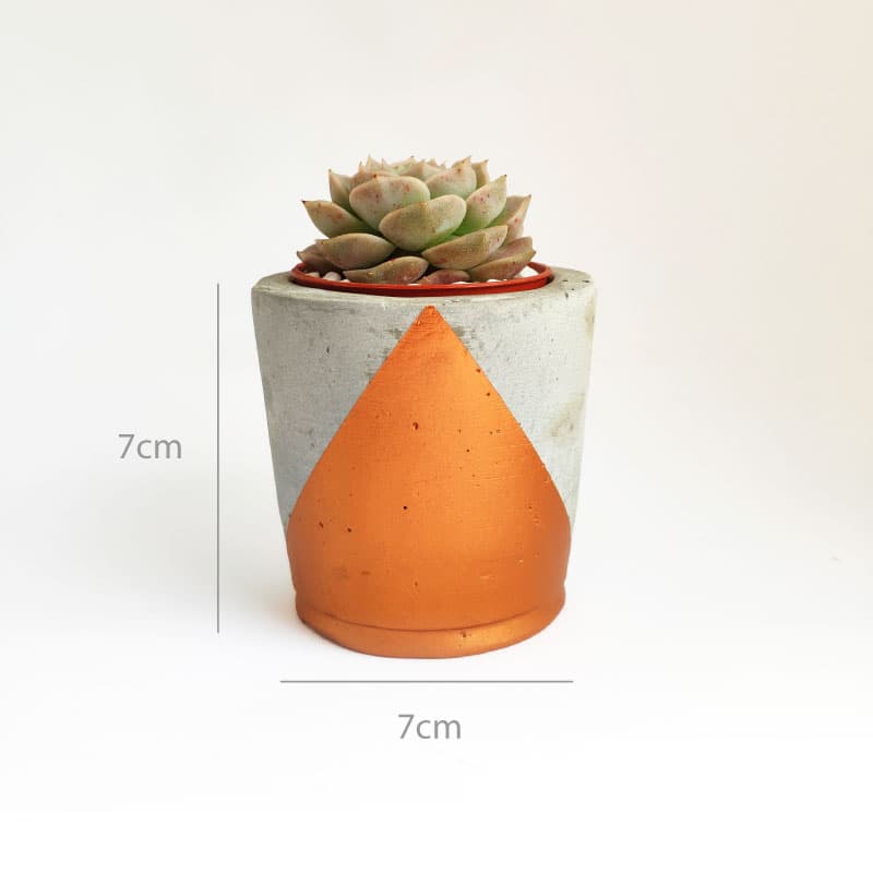 The Asli Co Cement Pot size and dimensions